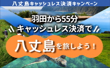 八丈島キャッシュレス決済キャンペーン
