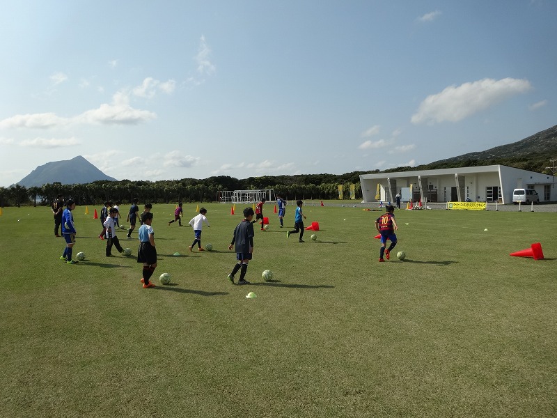 八丈町 | お知らせ | ページ 10