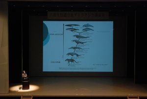 ザトウクジラ講演会