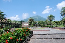 八丈植物公園 1