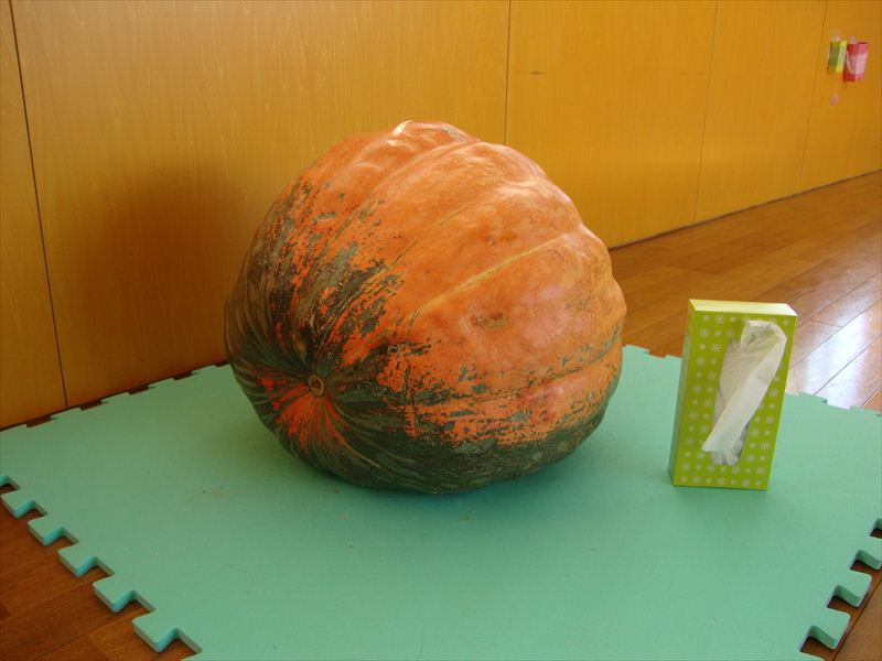DSC00259
