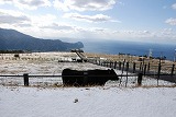 ふれあい牧場　雪