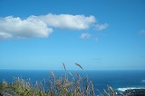 八丈富士 鉢巻道路より