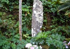 御赦免花の祖　慈運法印の碑