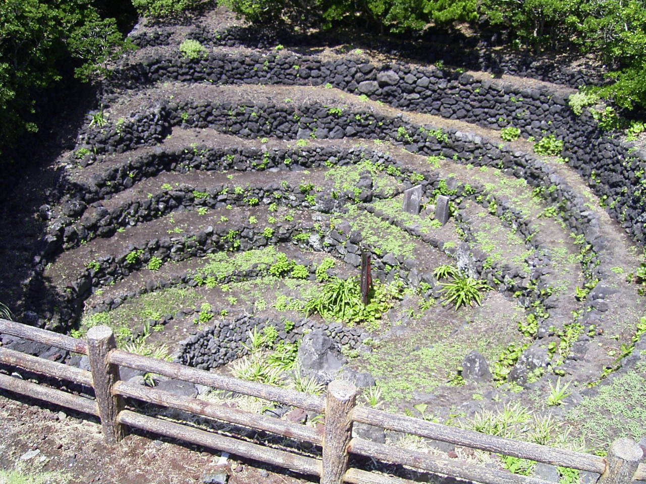 八重根のメットウ井戸