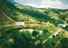 八丈島湯浜遺跡