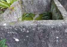 石製くりぬき水槽