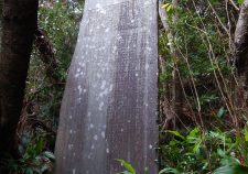 鳥島罹災者招魂碑