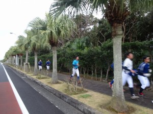 東京経済大学硬式野球部八丈島合同合宿