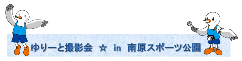 [ƎBein쌴X|[c