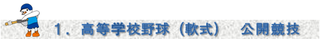 八丈町国体開催概要 野球