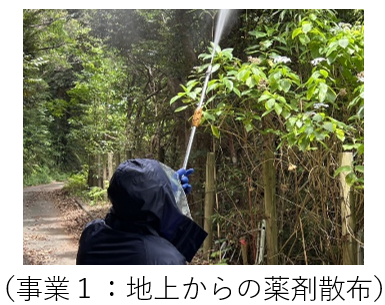 地上からの薬剤散布