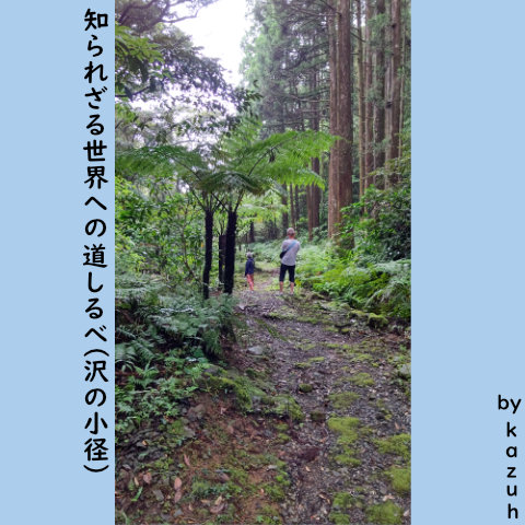 八丈島