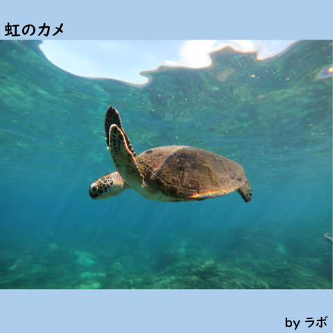 八丈島