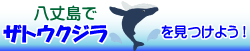 八丈島でザトウクジラを見つけよう