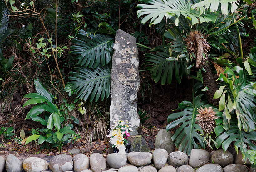 御赦免花の祖 慈運法印の碑の写真