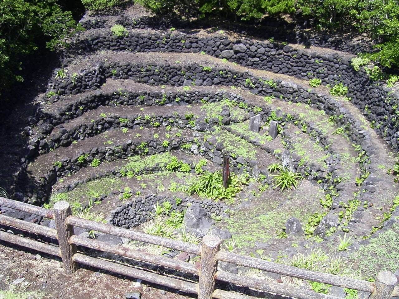 八重根のメットウ井戸の写真