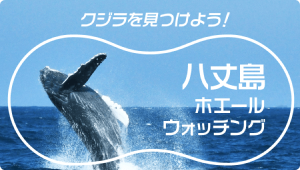 くじら・海のイメージ